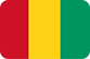 Guinea flag